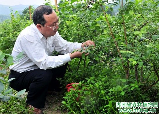 AG旗舰厅(中国游)官方网站