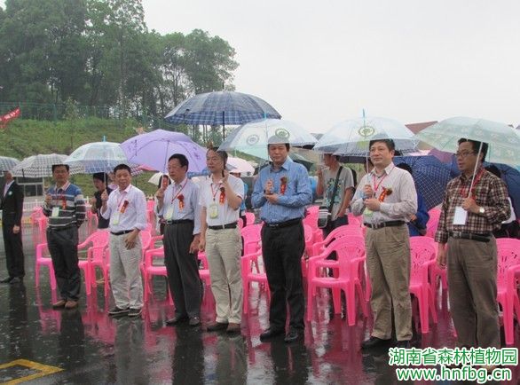 AG旗舰厅(中国游)官方网站