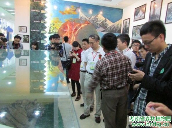 AG旗舰厅(中国游)官方网站