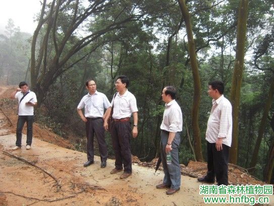 AG旗舰厅(中国游)官方网站