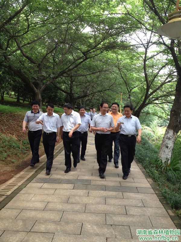AG旗舰厅(中国游)官方网站