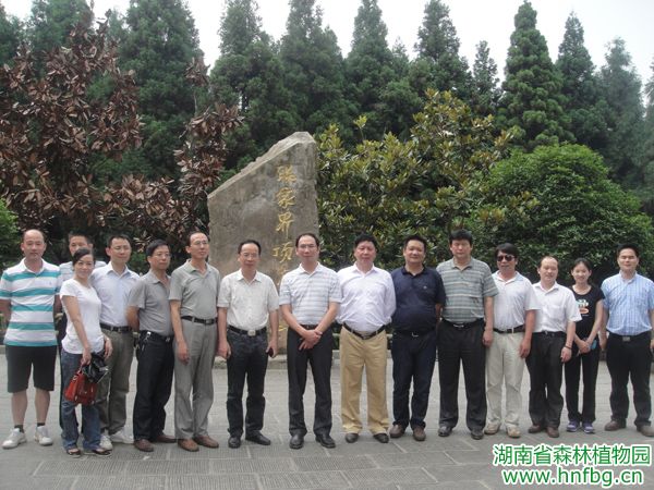 AG旗舰厅(中国游)官方网站