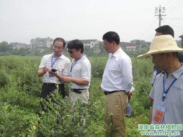 AG旗舰厅(中国游)官方网站