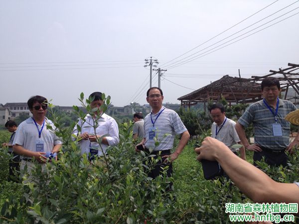 AG旗舰厅(中国游)官方网站