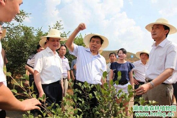 AG旗舰厅(中国游)官方网站