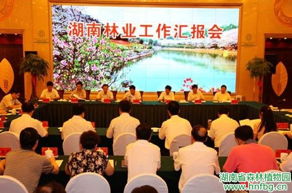 AG旗舰厅(中国游)官方网站