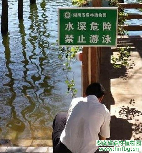 AG旗舰厅(中国游)官方网站