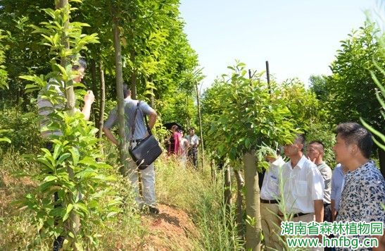 AG旗舰厅(中国游)官方网站