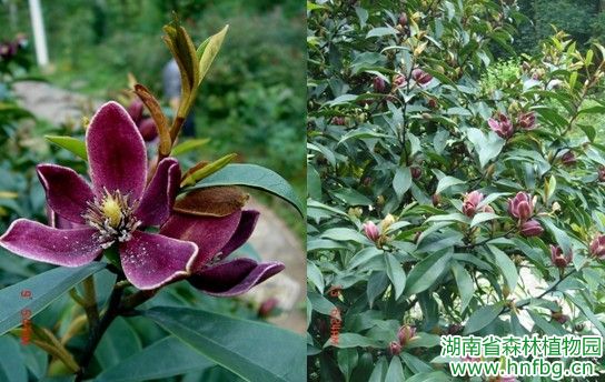 AG旗舰厅(中国游)官方网站