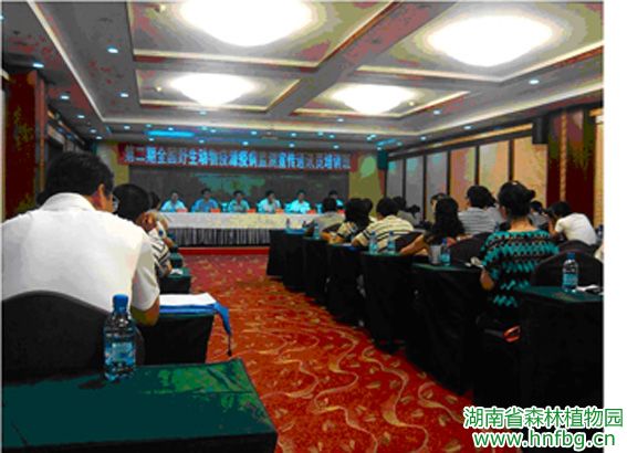 AG旗舰厅(中国游)官方网站
