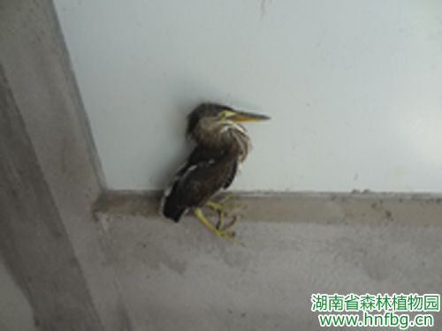 AG旗舰厅(中国游)官方网站