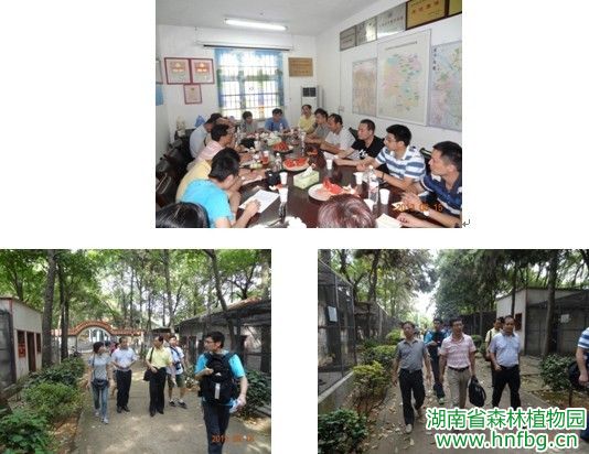 AG旗舰厅(中国游)官方网站