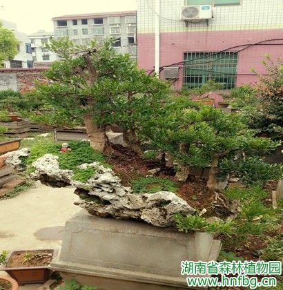 AG旗舰厅(中国游)官方网站