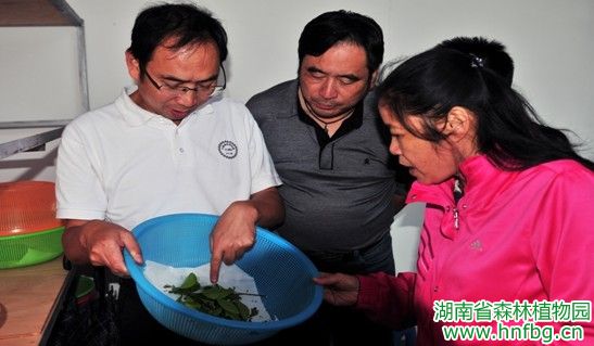 AG旗舰厅(中国游)官方网站