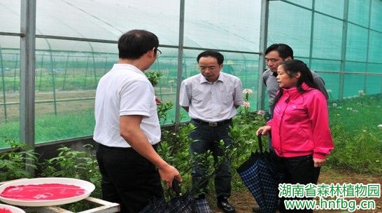 AG旗舰厅(中国游)官方网站