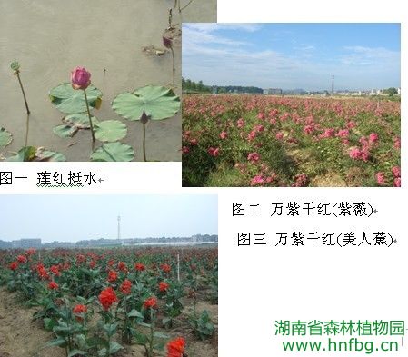AG旗舰厅(中国游)官方网站