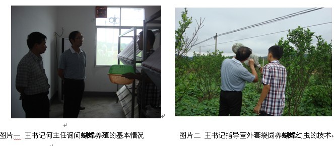 AG旗舰厅(中国游)官方网站
