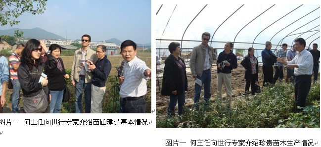 AG旗舰厅(中国游)官方网站