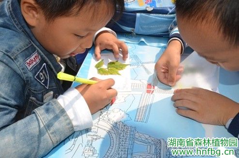 AG旗舰厅(中国游)官方网站