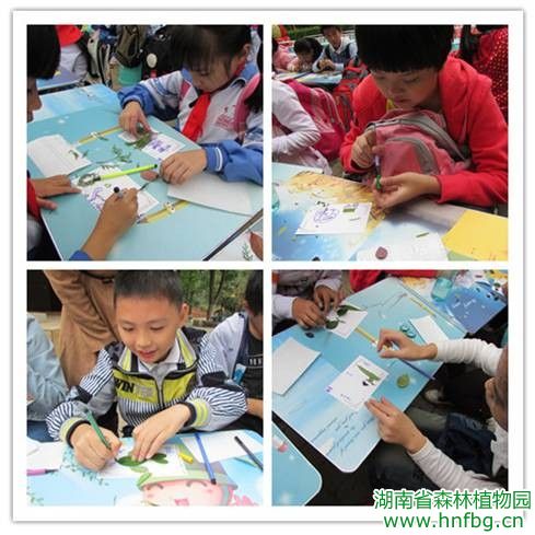 AG旗舰厅(中国游)官方网站