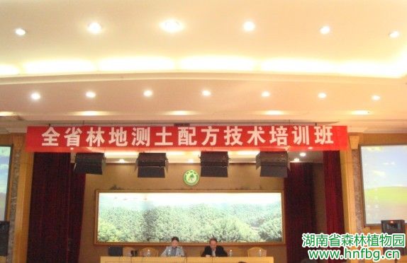 AG旗舰厅(中国游)官方网站