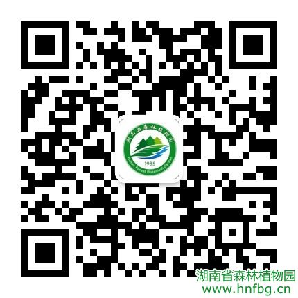 AG旗舰厅(中国游)官方网站