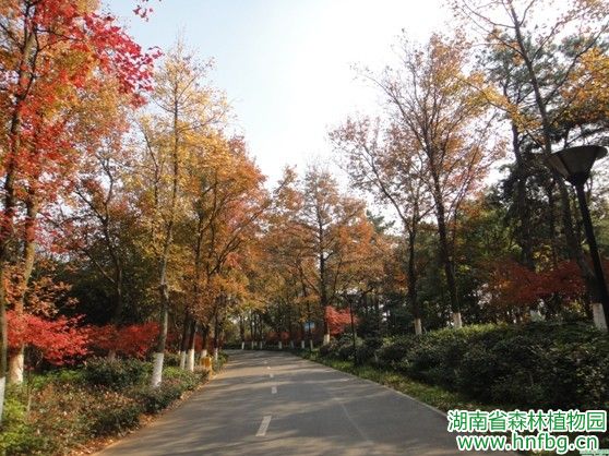 AG旗舰厅(中国游)官方网站