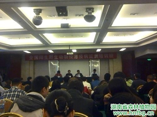 AG旗舰厅(中国游)官方网站