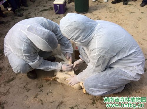 AG旗舰厅(中国游)官方网站