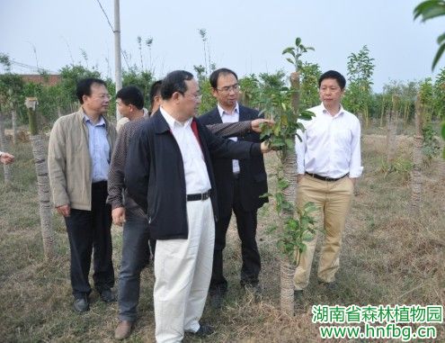 AG旗舰厅(中国游)官方网站