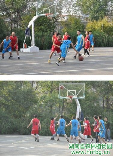 AG旗舰厅(中国游)官方网站