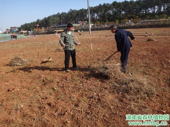 AG旗舰厅(中国游)官方网站
