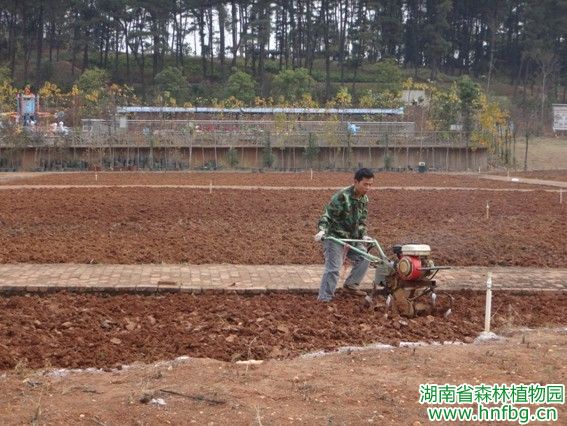 AG旗舰厅(中国游)官方网站