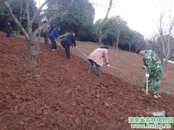 AG旗舰厅(中国游)官方网站
