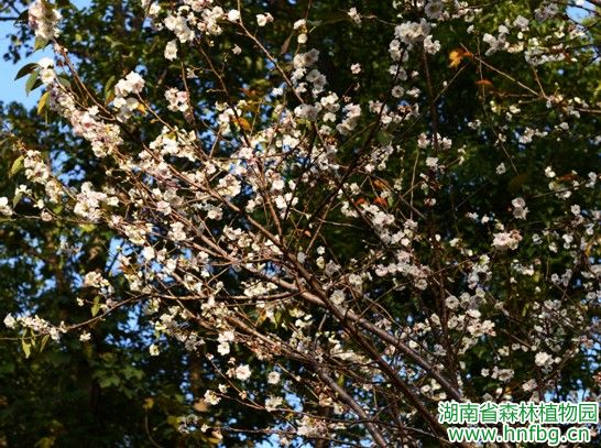 AG旗舰厅(中国游)官方网站