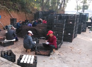 AG旗舰厅(中国游)官方网站