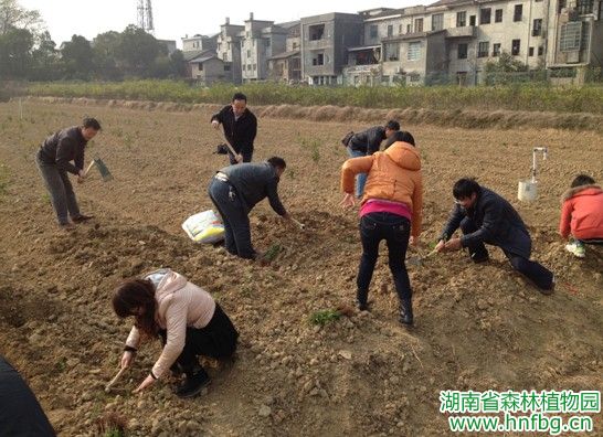AG旗舰厅(中国游)官方网站