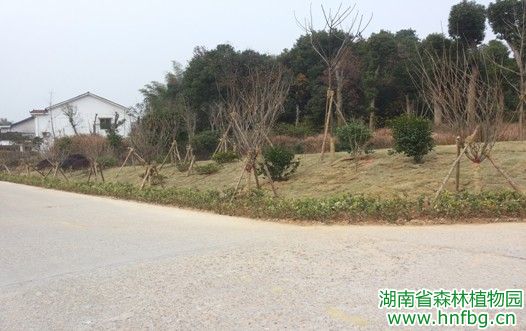 AG旗舰厅(中国游)官方网站