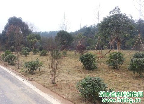 AG旗舰厅(中国游)官方网站