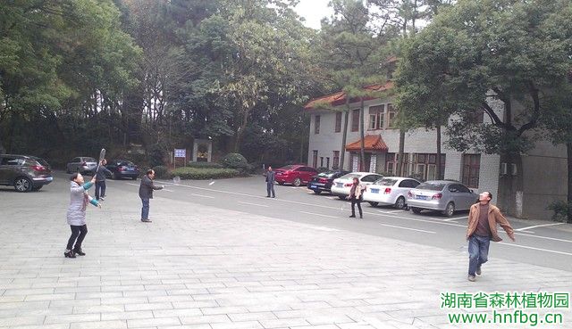 AG旗舰厅(中国游)官方网站