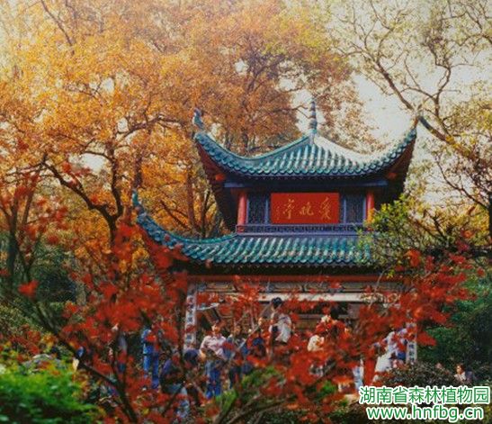 AG旗舰厅(中国游)官方网站