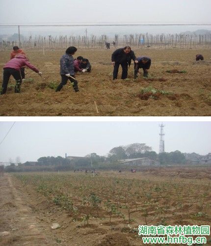 AG旗舰厅(中国游)官方网站