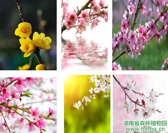AG旗舰厅(中国游)官方网站