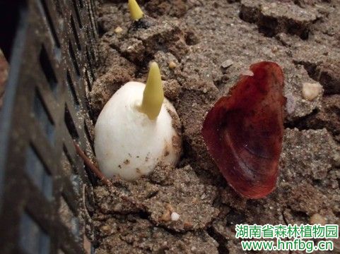AG旗舰厅(中国游)官方网站