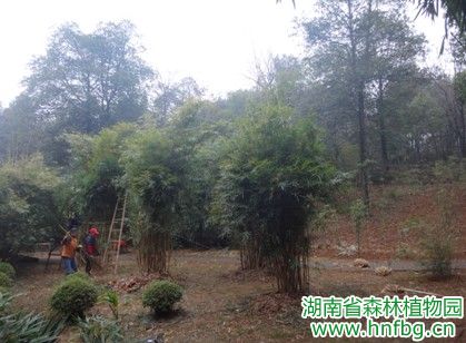 AG旗舰厅(中国游)官方网站