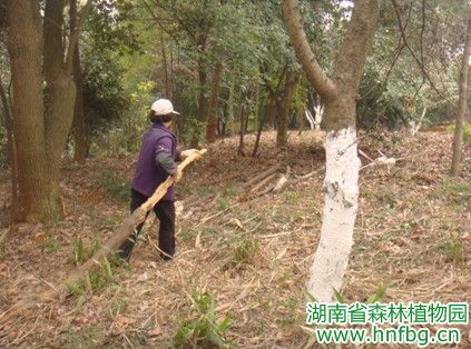 AG旗舰厅(中国游)官方网站
