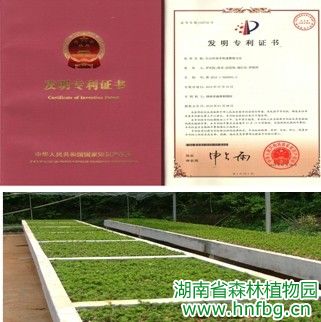 AG旗舰厅(中国游)官方网站