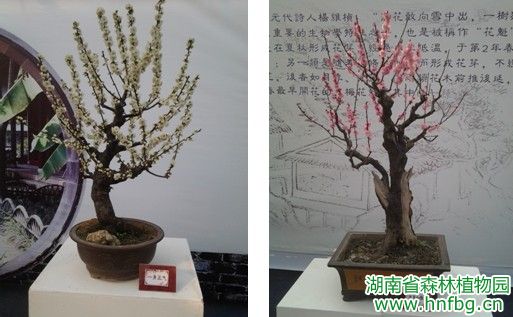 AG旗舰厅(中国游)官方网站