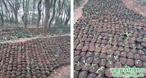 AG旗舰厅(中国游)官方网站