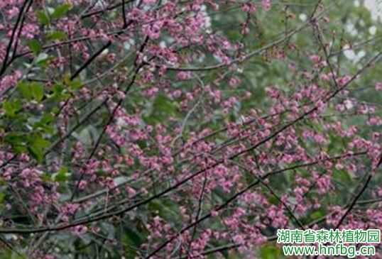 AG旗舰厅(中国游)官方网站